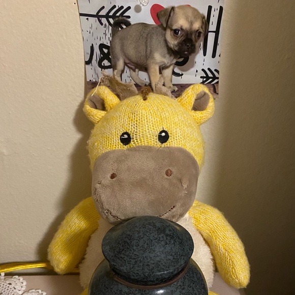 Me - Picture 8 of 17